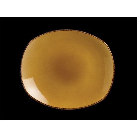 Terramesa Mustard Plate Spice 25.5cm 10 "