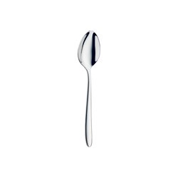 Ecco Dessert Spoon 19.9cm 7 5/6 "