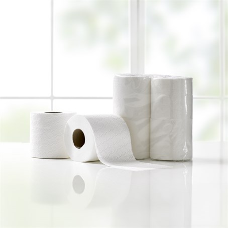 DOMESTIC TOILET ROLL ECONOMY