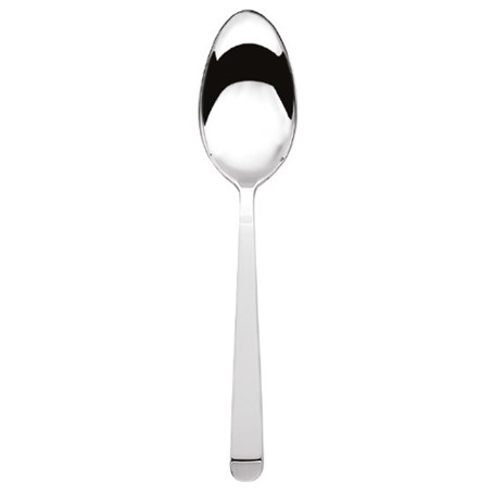 Equinox Table Spoon