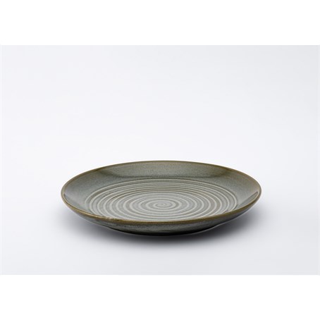 Shallow Round Plate