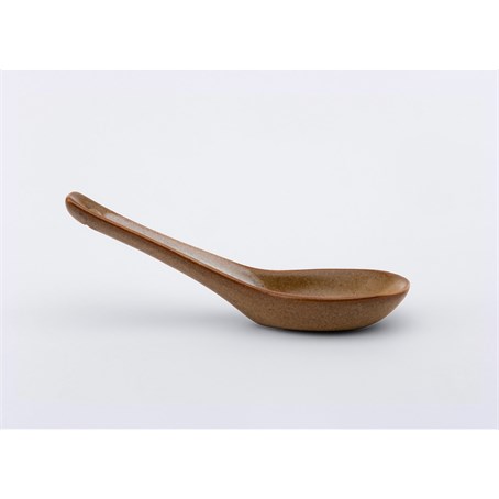 Rice Spoon