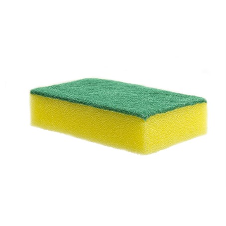 Sponge Scourer