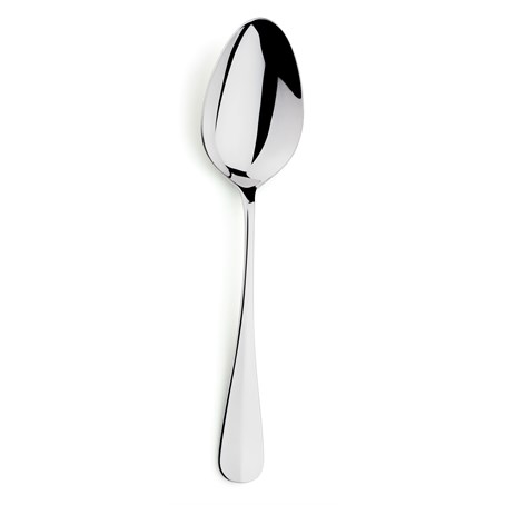 Meridia Serving Spoon